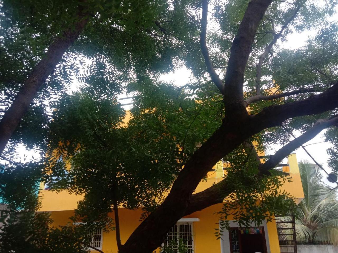Thendral Hostel Monthly Rental Pondicherry Luaran gambar